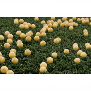 50 gjenbrukbare gummikuler, reball rental, kaliber 0,68